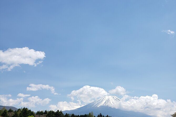 Mount Fuji, Hakone & Lakekawaguchiko Private Group Tour by Car. - Oshino Hakkai: old structures and the Ninja Village nickname
