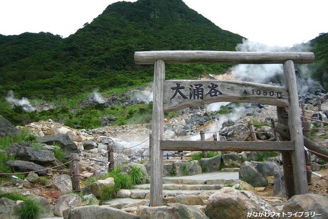 Mt. Fuji and Hakone Day Trip From Tokyo with Bullet Train Option - The Odawara Split: Bullet Train Return vs Bus Back to Shinjuku