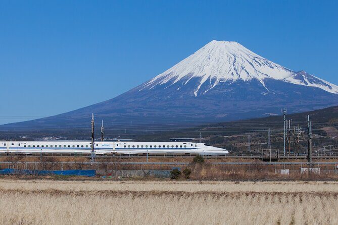 Mt. Fuji and Hakone Day Trip From Tokyo with Bullet Train Option - The Coach Ride: Wi‑Fi, Seat Belts, and Real Time on the Road