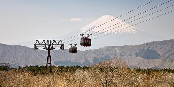 Mt. Fuji and Hakone Private Tour with English Speaking Guide - Private Pickup From Tokyo: Less Stress, More Looking Out the Window