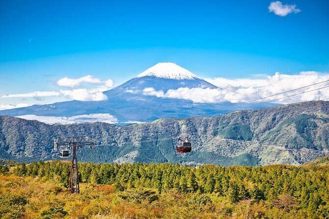 Mt. Fuji and Hakone Private Tour with English Speaking Guide - Arakurayama Sengen Park: Pagoda Views and a Quick Fuji Fix