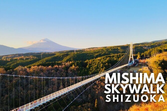 Mt. Fuji and Hakone Private Tour with English Speaking Guide - Hakone Shrine and Kuzuryu Shrine: Red Gates and Lakeside Tradition