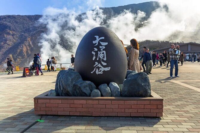 Mt. Fuji and Hakone Private Tour with English Speaking Guide - How the Flexible Plan Works When You’re Chasing Fuji Light