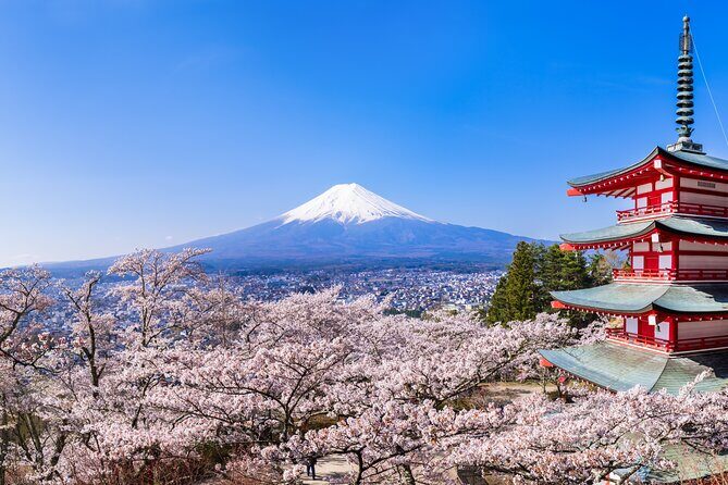 Mt.Fuji and Hakone Tour - The Big Picture: What This Tour Hits (and Why It Works)