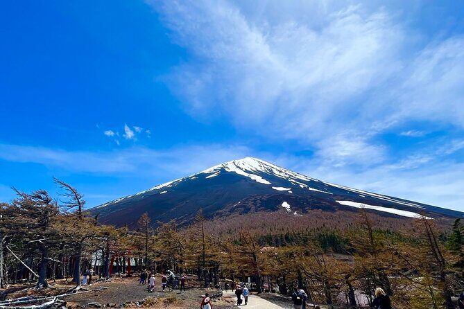 Mt. Fuji & Hakone Bus Tour Bullet Train Return & 28-Hotel Pick-up - Hotel pickup timing: how to avoid the morning scramble