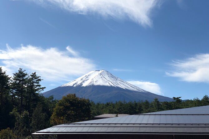 Mt. Fuji & Hakone Bus Tour Bullet Train Return & 28-Hotel Pick-up - Bullet train return to Tokyo Station: the smart finish