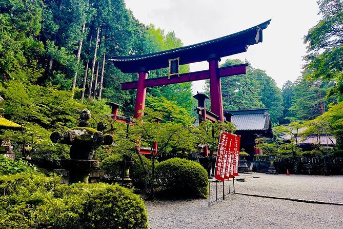 Mt. Fuji & Hakone Cherry Blossom private One Day Tour - Why a private Fuji and Hakone day beats DIY
