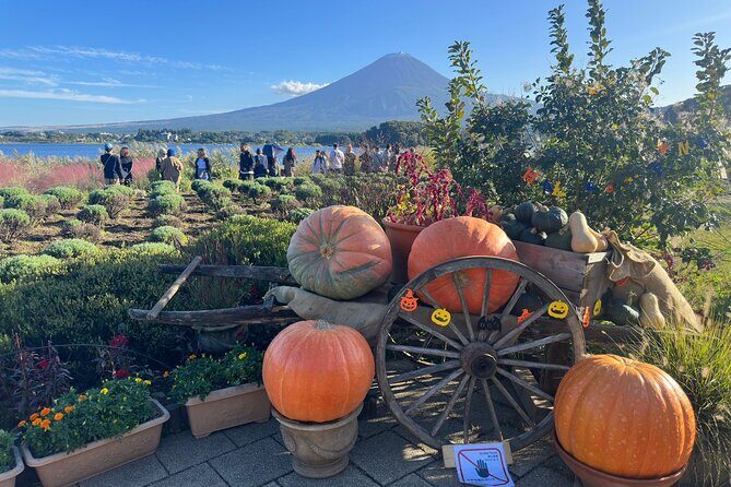 Mt. Fuji & Hakone Cherry Blossom private One Day Tour - Comfort details that actually matter on a 10-hour day
