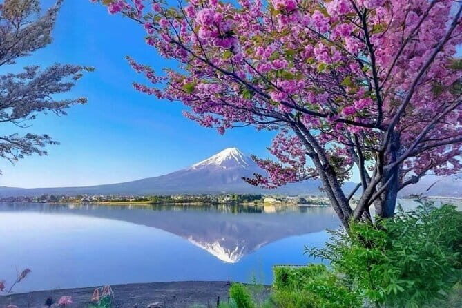 Mt fuji & Hakone customizable day tour w/ English speaking driver - Key things you’ll notice right away