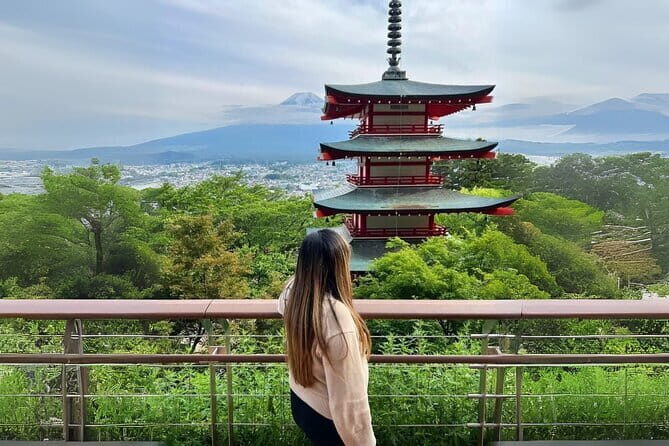 Mt fuji & Hakone customizable day tour w/ English speaking driver - Price and what your money is really buying