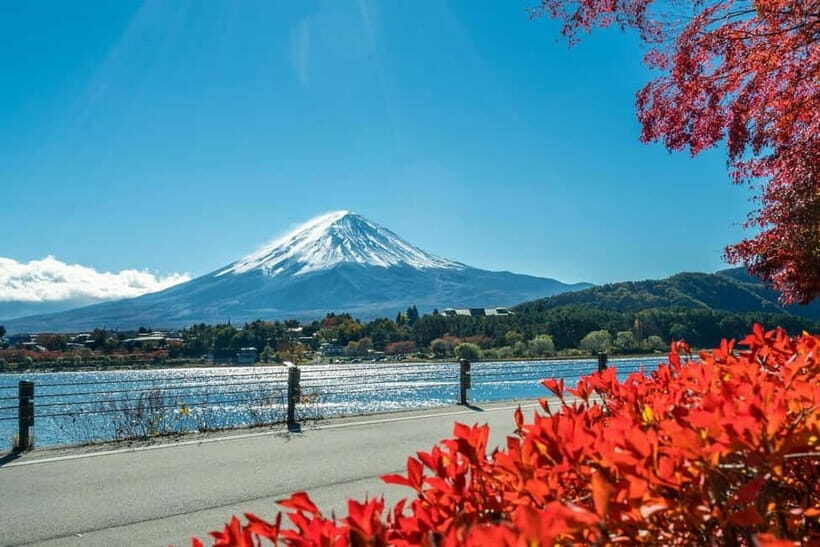 Mt.Fuji Hakone Day Tour With Lake Ashi Cruise, FREE Ropeway - Oshino Hakkai: eight ponds, clear water, and the village vibe