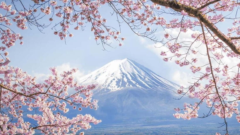 Mt.Fuji Hakone Day Tour With Lake Ashi Cruise, FREE Ropeway - Price and value: what $58 really covers (and what you should budget for)