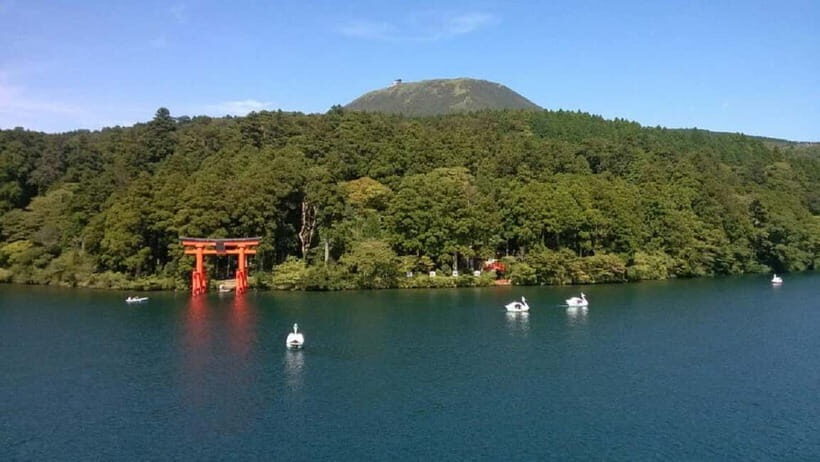 Mt.Fuji Hakone Day Tour With Lake Ashi Cruise, FREE Ropeway - Hakone Shrine: cedar shade and a red torii with Fuji behind