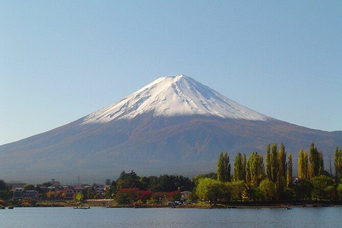 Mt. Fuji & Hakone: Fuji Sengen Shrine, Cruise, and Ramen-Making - Shinjuku-to-Fuji travel plan: bus comfort and why round-trip matters