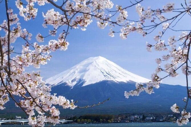 Mt. Fuji, Hakone Full-Day Private Tour with English Driver - Chureito Pagoda and Arakura Sengen Shrine: The 400-Step Photo Walk