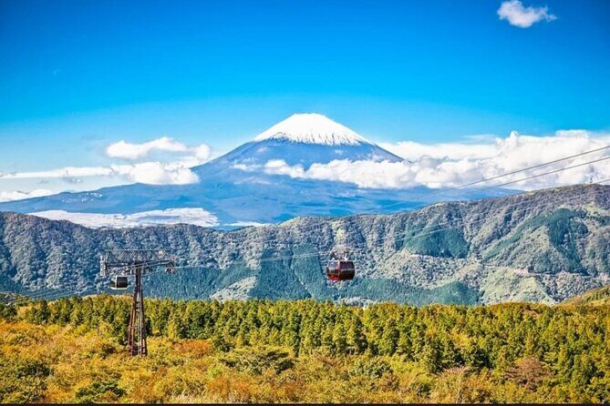 Mt. Fuji, Hakone Full-Day Private Tour with English Driver - Oishi Park: A Calmer Fuji Angle Across Lake Kawaguchiko