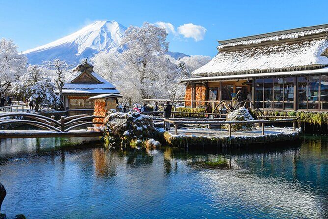 Mt. Fuji, Hakone Full-Day Private Tour with English Driver Guide - What really matters in this Fuji and Hakone day