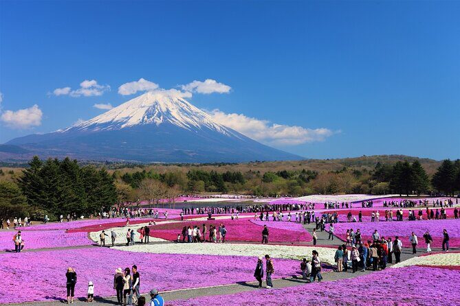 Mt. Fuji, Hakone Full-Day Private Tour with English Driver Guide - Why this private Mt. Fuji and Hakone plan fits a one-day window