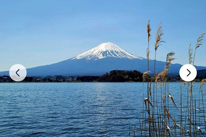 Mt. Fuji, Hakone Full-Day Private Tour with English Driver Guide - Stop-by-stop: the Fuji 5th Station reality check