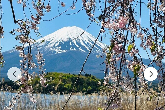 Mt. Fuji, Hakone Full-Day Private Tour with English Driver Guide - Lake Kawaguchiko: where the views often hit hardest