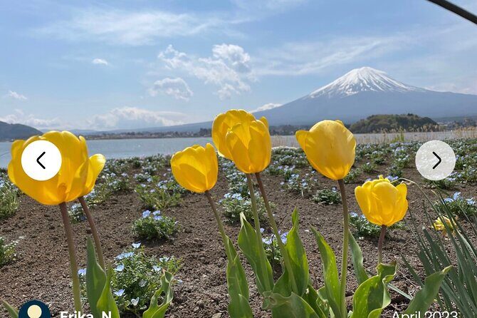 Mt. Fuji, Hakone Full-Day Private Tour with English Driver Guide - Oshino Hakkai: small, scenic, and low-stress