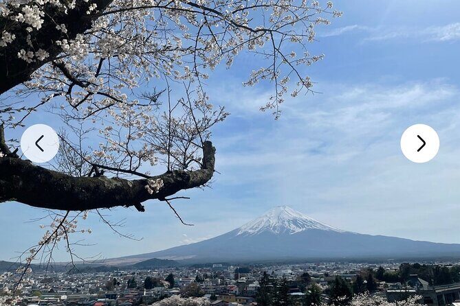 Mt. Fuji, Hakone Full-Day Private Tour with English Driver Guide - Lake Ashi and Hakone shrines: the “peace” view