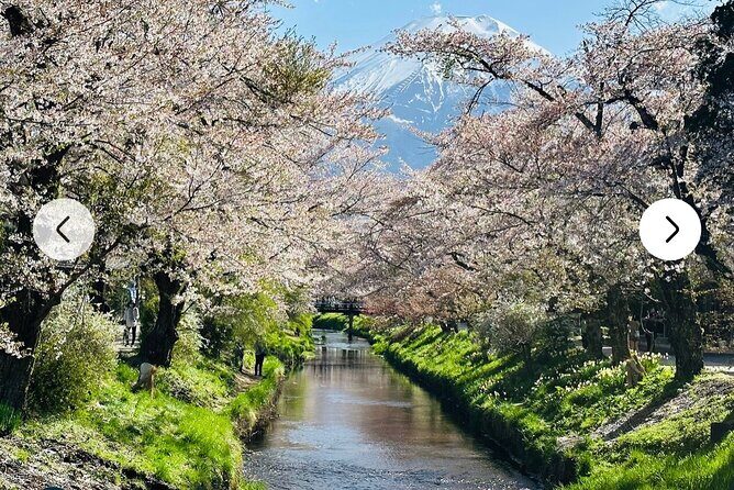 Mt. Fuji, Hakone Full-Day Private Tour with English Driver Guide - The payoff: pickup, comfort, and route flexibility