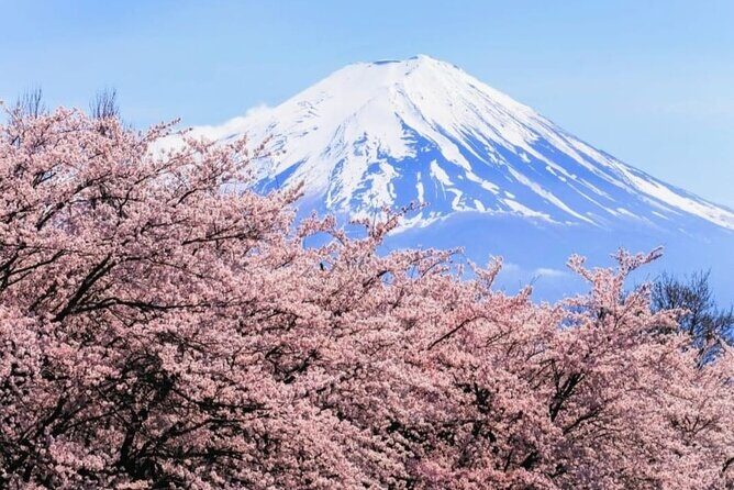 Mt. Fuji, Hakone Full-Day Private Tour with English Driver - Lake Kawaguchiko: Fuji Views With a Softer Pace