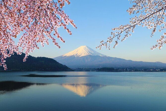 Mt. Fuji & Hakone Private Day Tour with English-Speaking Driver - How the 10-Hour Private Format Really Feels