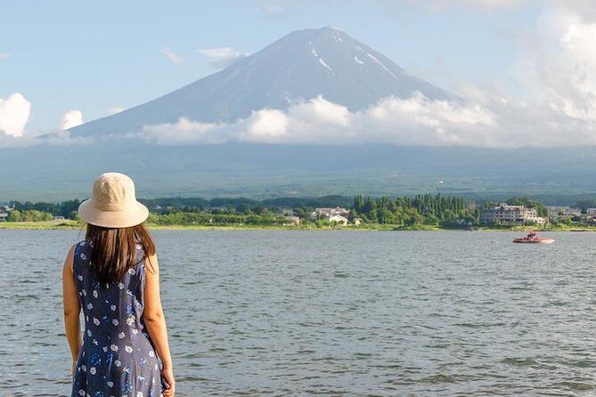 Mt. Fuji & Hakone Private Day Tour with English-Speaking Driver - Gotemba Premium Outlets: The Shopping Detour That Can Be Worth It