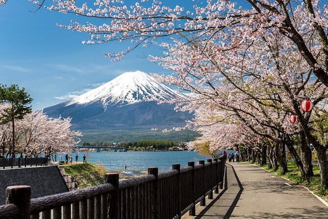 Mt Fuji, Hakone Private Tour by Car Pickup from Tokyo - Arakura Fuji Sengen Shrine: The Photo Deck Moment