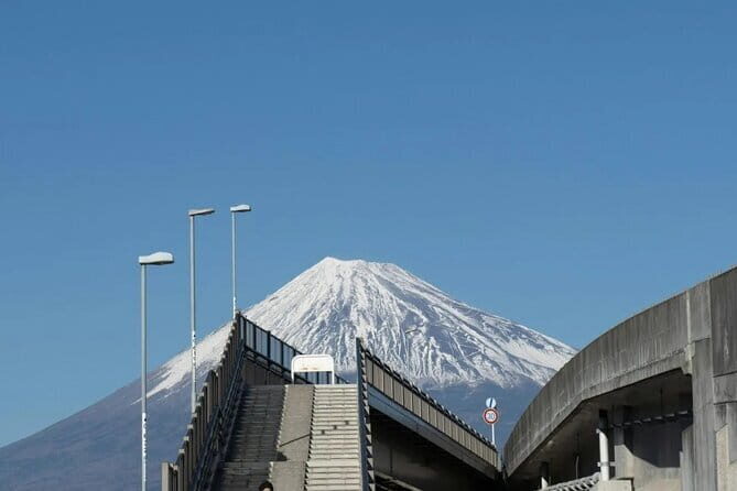 Mt Fuji, Hakone Private Tour by Car Pickup from Tokyo - Lake Kawaguchiko: Fuji Reflections Plus Seasonal Events