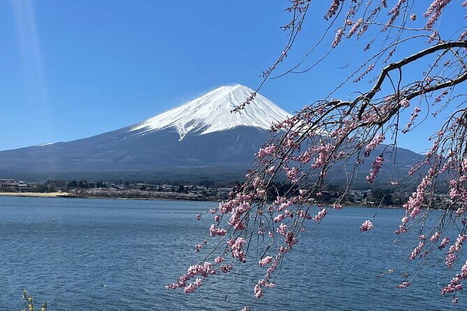 Mt Fuji, Hakone Private Tour by Car Pickup from Tokyo - Food, Timing, and What Costs You Should Expect