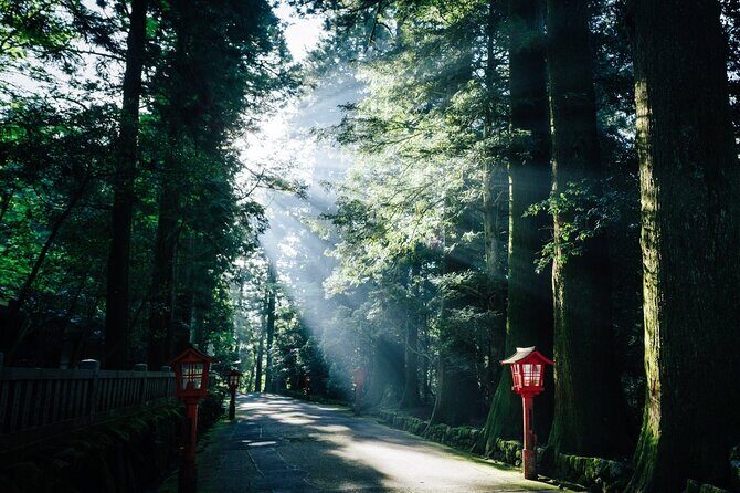 Mt. Fuji, Hakone Private Tour from Tokyo - Onsen, Arts and Nature - Hakone Shrine, Lake Ashi torii gates, and the Shinto-woods atmosphere