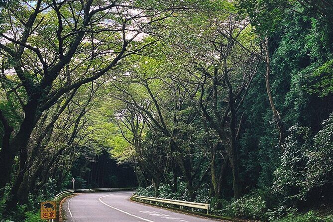 Mt. Fuji, Hakone Private Tour from Tokyo - Onsen, Arts and Nature - Amasake Chaya: tea-house time on the old Tōkaidō road