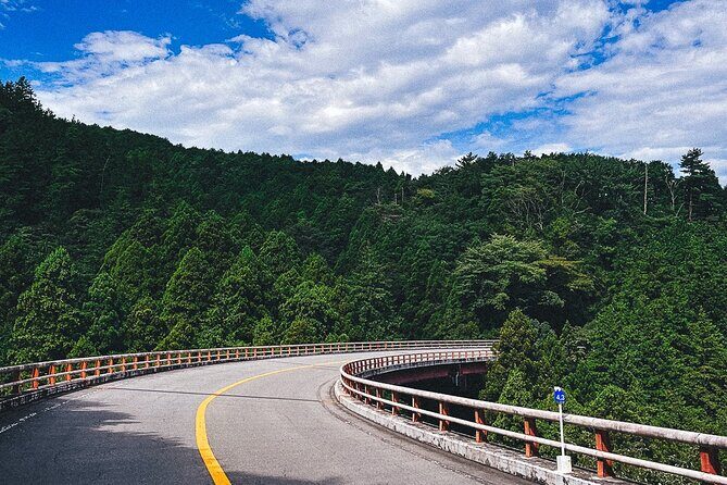 Mt. Fuji, Hakone Private Tour from Tokyo - Onsen, Arts and Nature - Onsen time in Hakone: relaxation is the whole point (and it’s not included)
