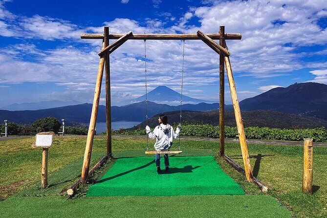 Mt. Fuji, Hakone Private Tour from Tokyo - Onsen, Arts and Nature - Hakone Open-Air Museum vs. Pola Museum on rainy days