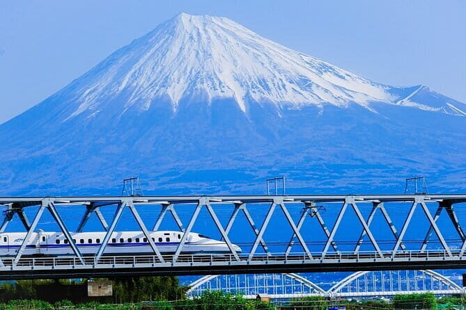 Mt Fuji & Hakone Private Tour from Tokyo: Return by Bullet Train - Key things I’d bet on (before you book)