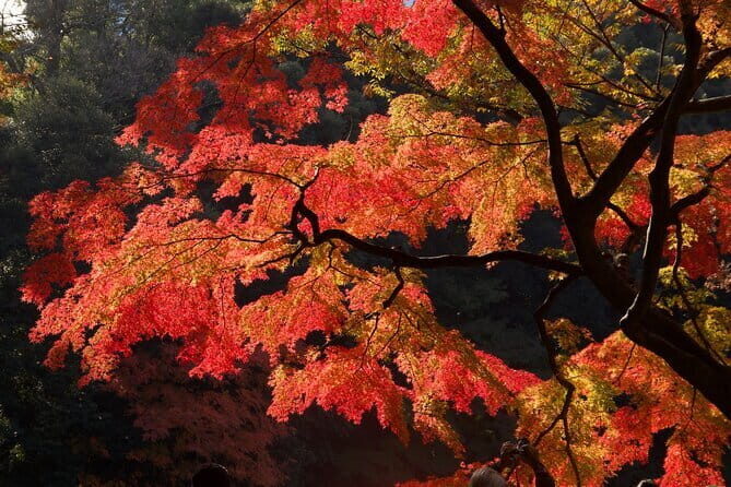 Mt Fuji & Hakone Private Tour from Tokyo: Return by Bullet Train - Lake Yamanaka vs. Lake Kawaguchiko: two different vibes, one morning-to-midday stretch