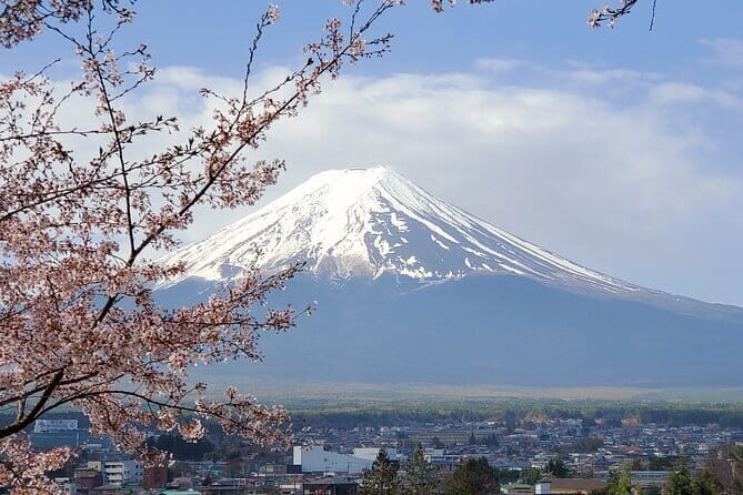 Mt Fuji & Hakone Private Tour from Tokyo: Return by Bullet Train - Chureito Pagoda: your Fuji photo moment (and why it’s scheduled first)