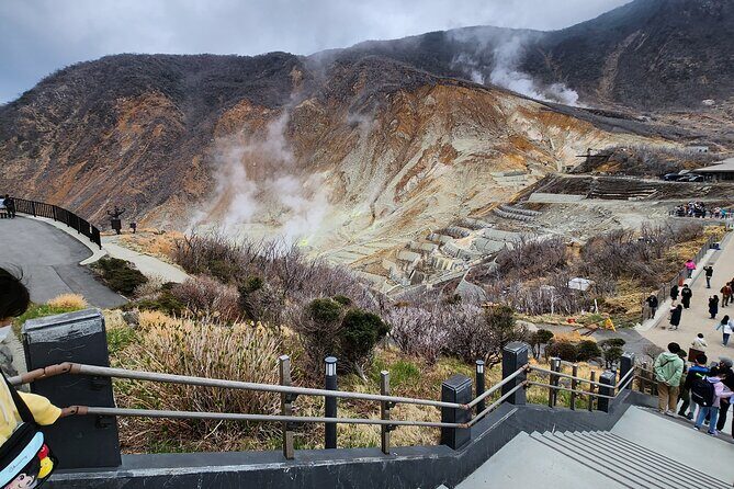 Mt.Fuji view Hakone Private tour with English speaking driver - Mishima Skywalk: quick Fuji panorama with minimal time