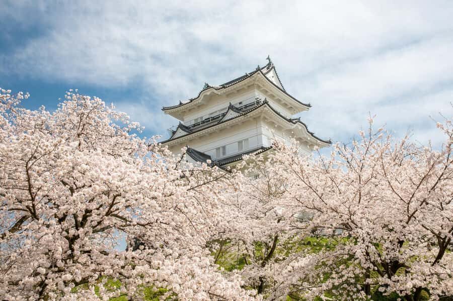 Odawara: Guided Ninja & Samurai Tour of Odawara Castle - Samurai Museum time: helmets, armor, and the real feel of weapon culture