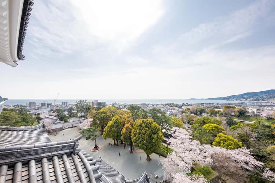 Odawara: Guided Ninja & Samurai Tour of Odawara Castle - The core experience: Ninja Museum hands-on training after regular hours