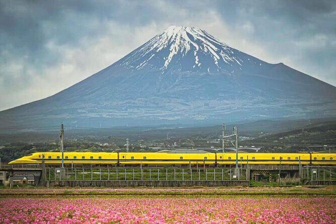 One day mountain Fuji & Hakone tour with English hindi bilingual - Oshino Hakkai: eight ponds, koi, and fast local snacks