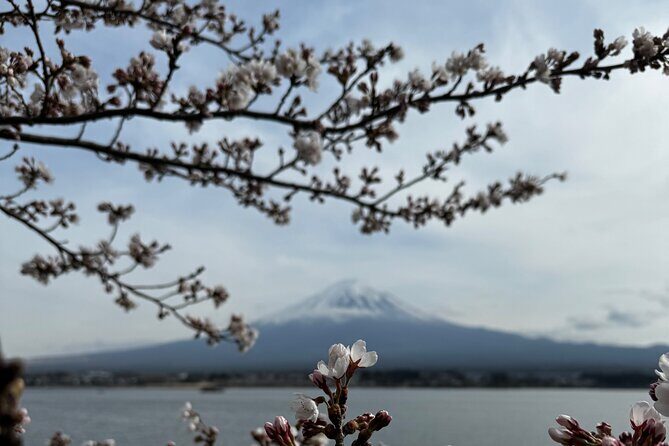 One day mountain Fuji & Hakone tour with English hindi bilingual - Lake Kawaguchiko: boat and ropeway-style views without rail stress