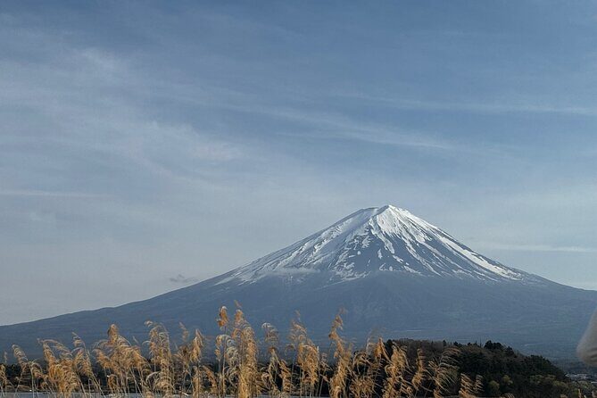 One day mountain Fuji & Hakone tour with English hindi bilingual - Starting with pickup and a guide who handles the day