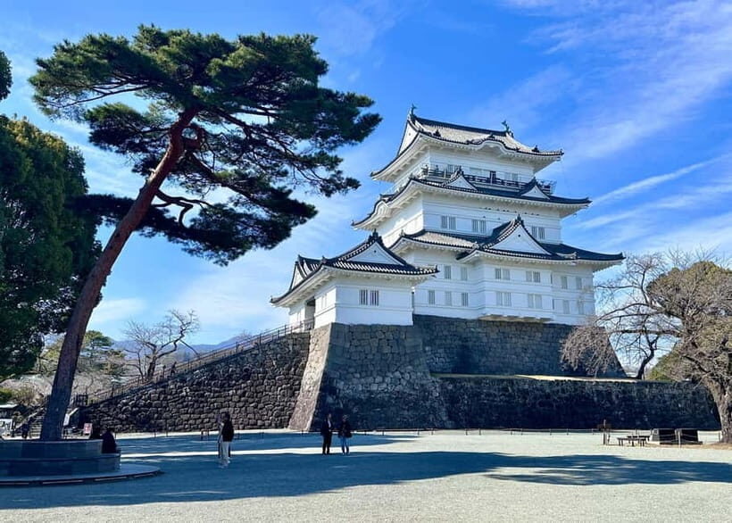 Private 2-Day Tour: Mt Fuji Hakone & Kamakura + Onsen Ryokan - Lake Kawaguchi: Oishi Park and the Morning Fuji Advantage