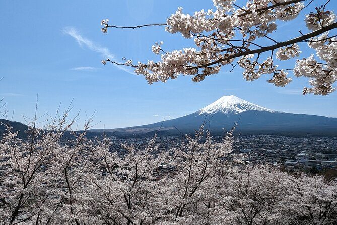 Private Car Tour to Mt. Fuji Lake Kawaguchiko or Hakone - Key points before you go