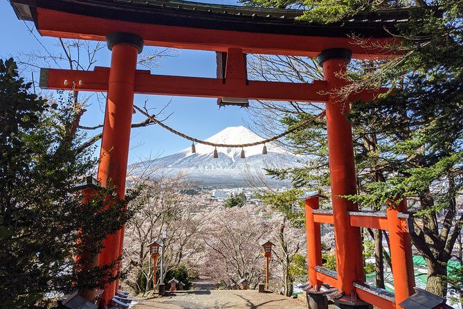 Private Car Tour to Mt. Fuji Lake Kawaguchiko or Hakone - Private van comfort: why this day feels calm