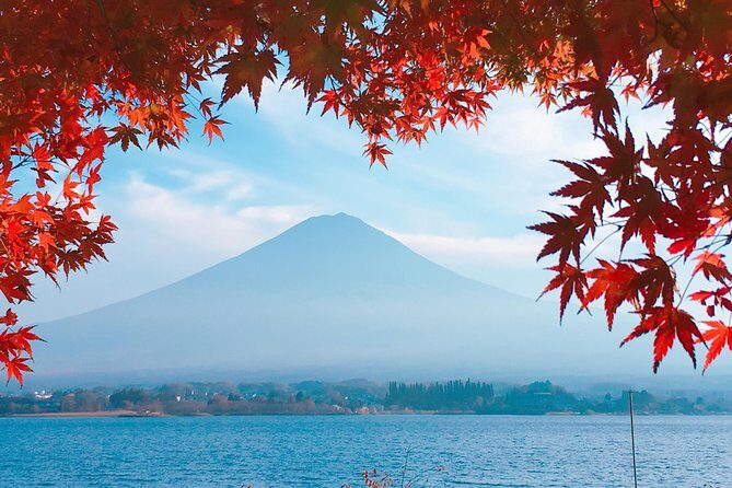 Private Car Tour to Mt. Fuji Lake Kawaguchiko or Hakone - Lake Kawaguchiko classics: shrines, flowers, and lakeside views